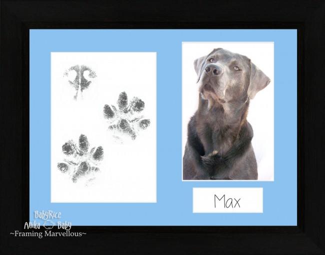 Pet Paw Prints Kit with Black woodgrain Wooden Frame Blue insert