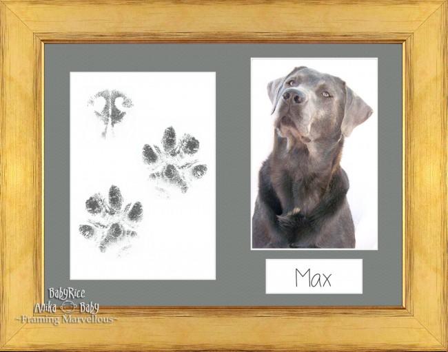 Pet Paw Prints Kit with Gold Wooden Frame Grey Insert
