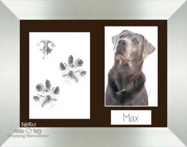 Pet Paw Prints Kit with Silver Wooden Frame Brown Insert