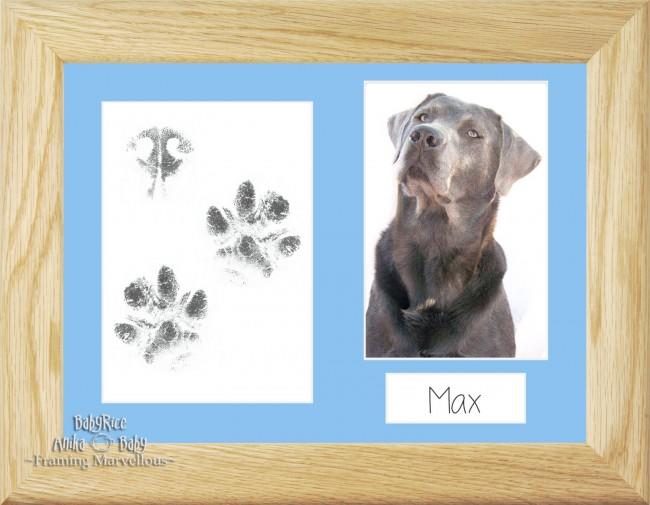 Pet Paw Prints Kit with Solid Oak Wooden Frame Blue insert