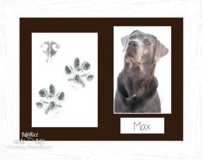 Pet Paw Prints Kit with White Woodgrain Wooden Frame Brown Insert