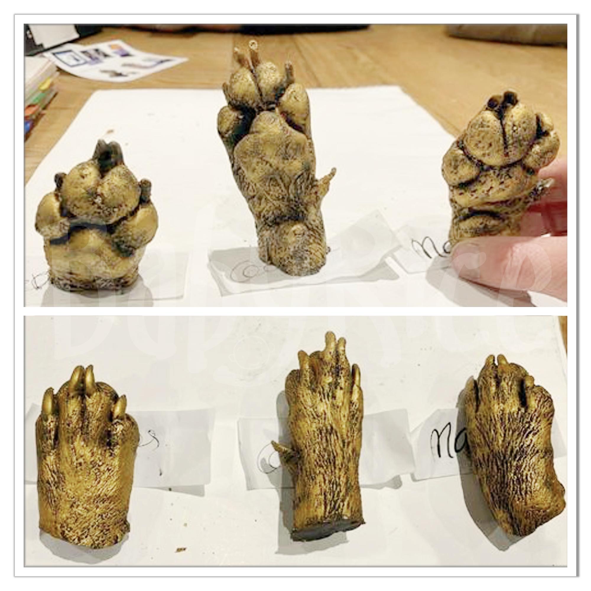 BabyRice Customer Gallery Pet Dog Cat Casting 3D Paw Casts See what you can Create Yourself