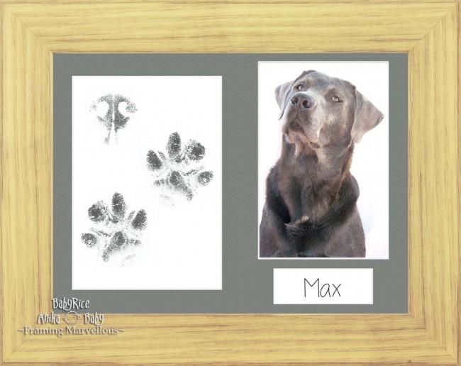 Pet Paw Prints Kit with Oak Effect Wooden Frame Grey Insert