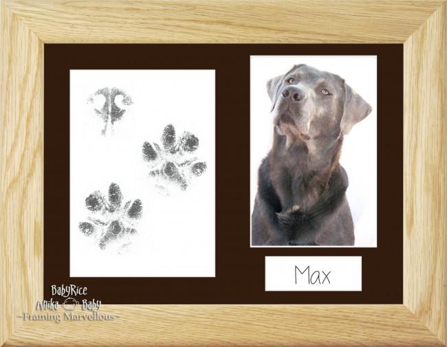 Pet Paw Prints Kit with Solid Oak Wooden Frame Brown Insert