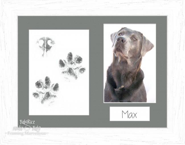 Pet Paw Prints Kit with White Woodgrain Wooden Frame Grey Insert