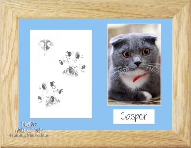 Cat Pet Paw Prints Kit with Solid Oak Frame - Choose Mount Colour
