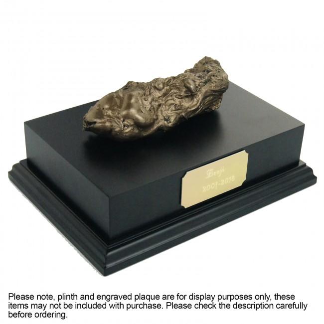 BabyRice paw cast in gold displayed on a wooden plinth