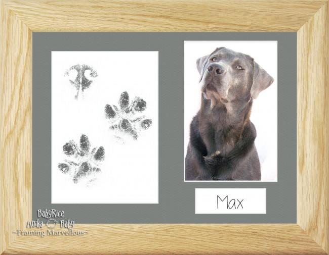Pet Paw Prints Kit with Solid Oak Wooden Frame Grey Insert