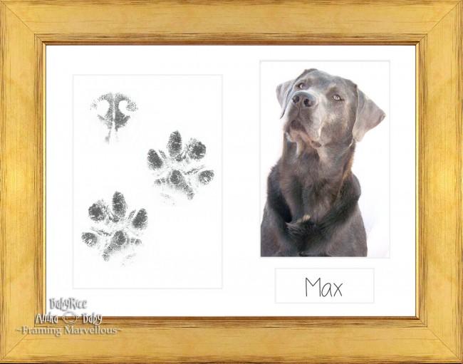 Pet Paw Prints Kit with Gold Wooden Frame White Insert