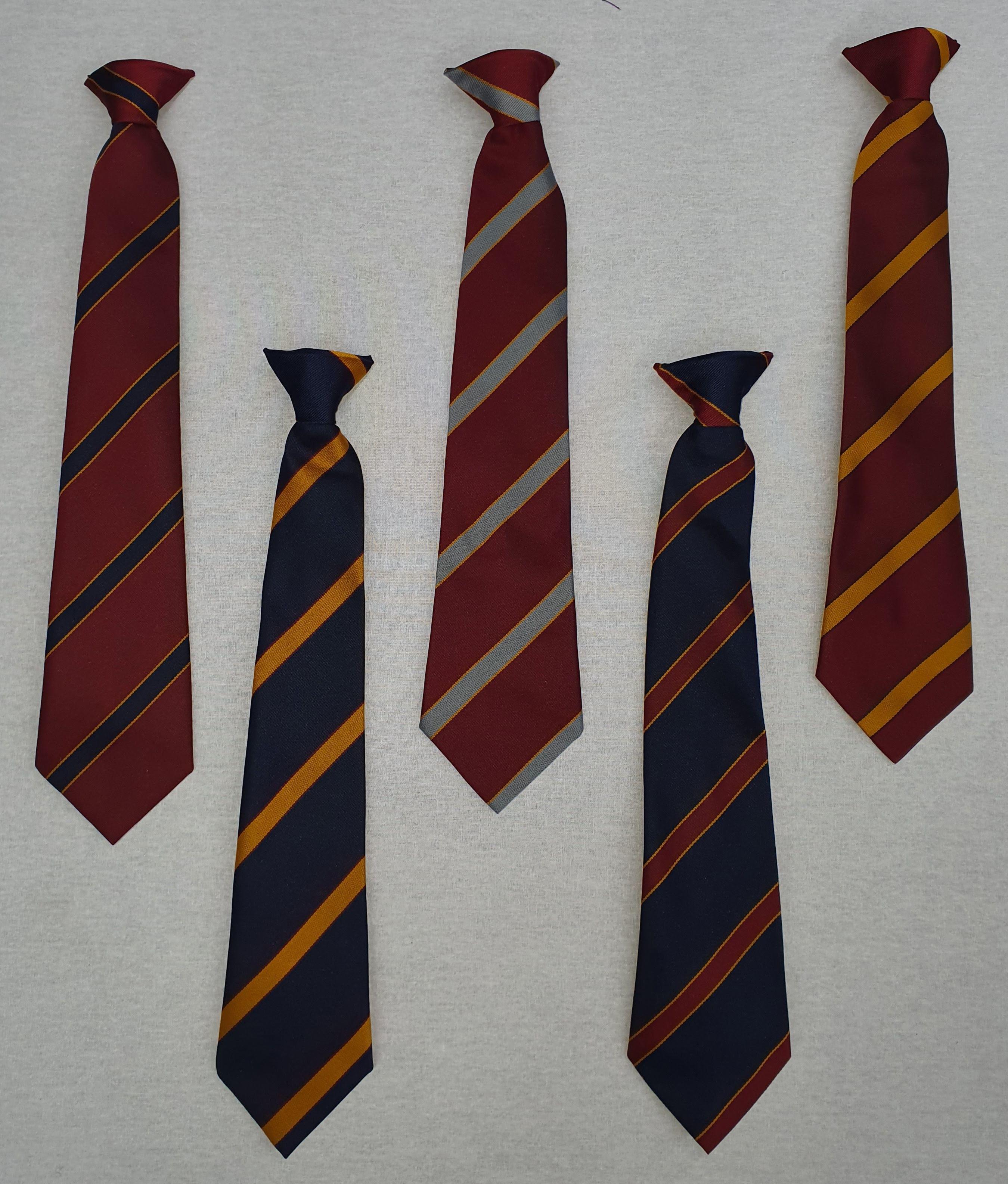 Colne Valley High School Tie