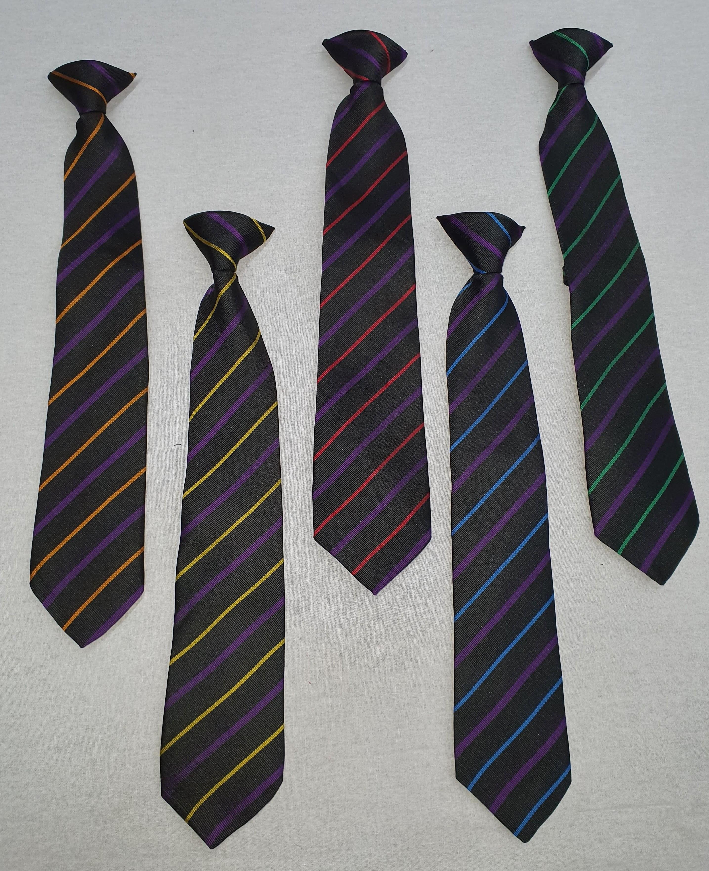 Salendine Nook High School Ties