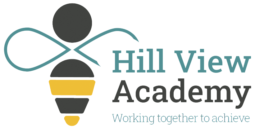 Hillview Academy