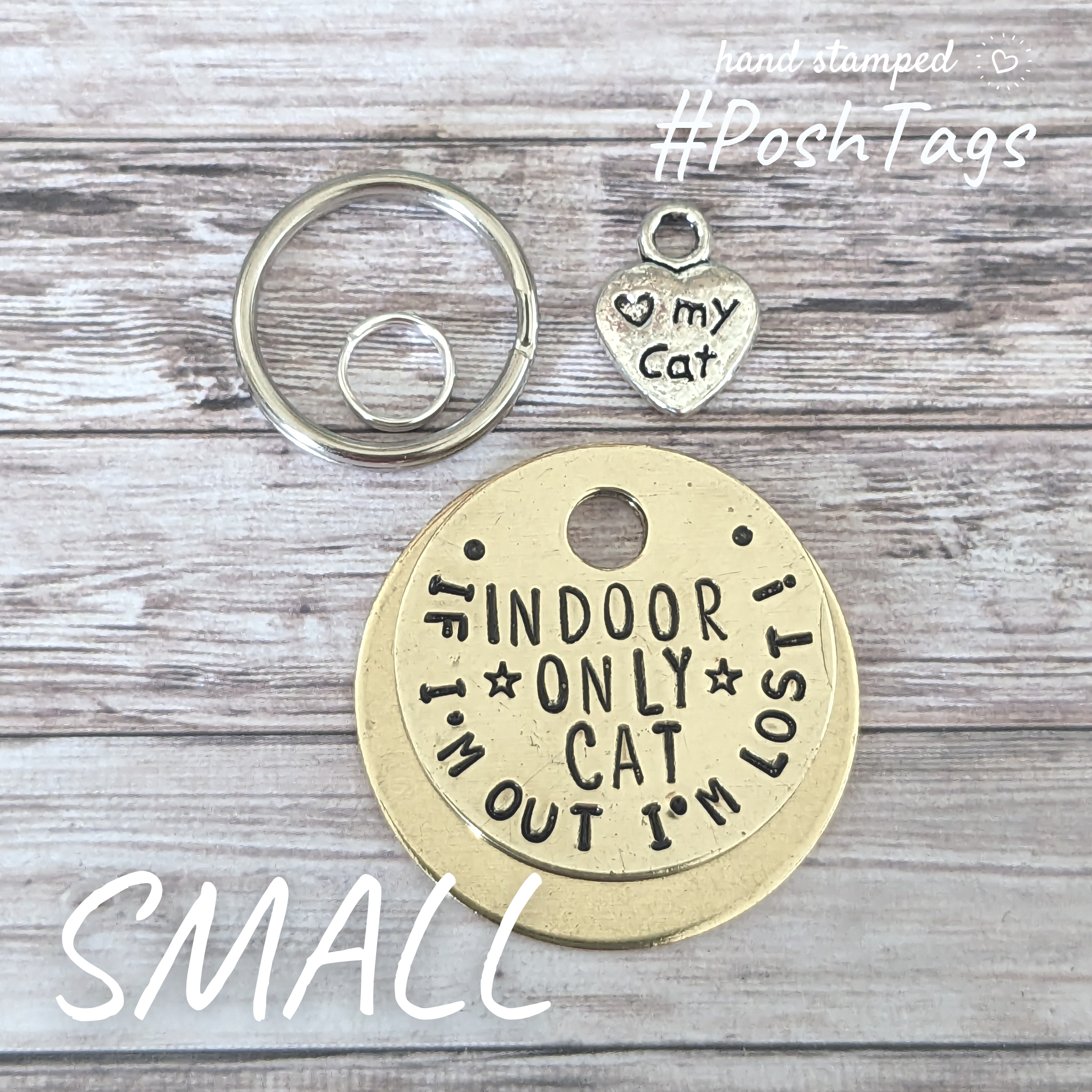 Indoor only 2024 cat tag