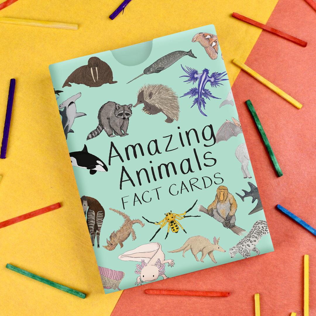 Amazing Animals Fact Cards front