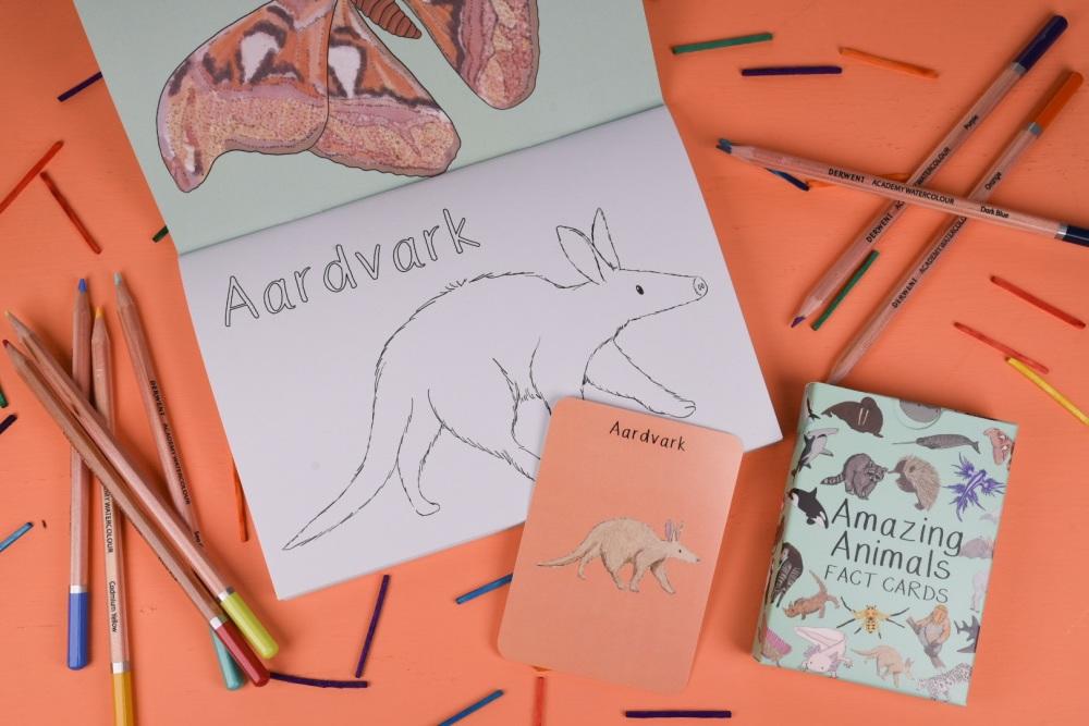 Amazing Animals set one Colouring Book inside