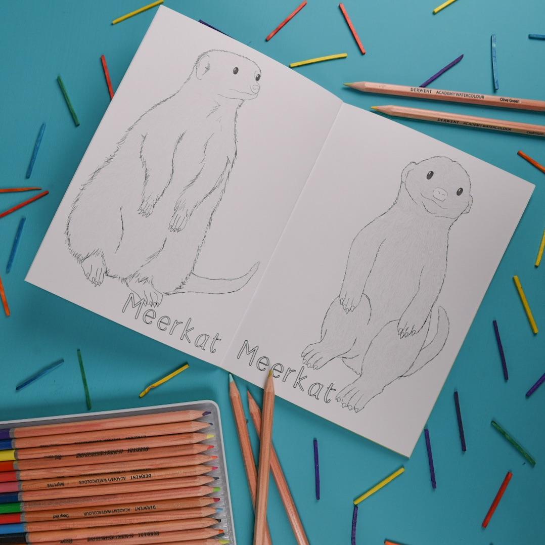 Amazing Animal Families colouring book inside