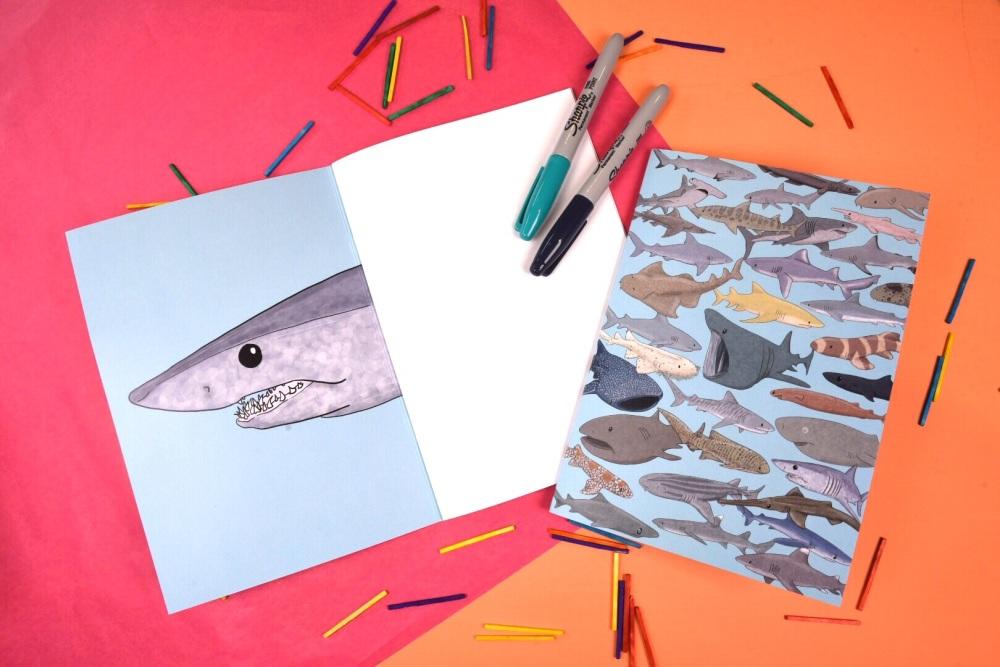 shark notebook inside