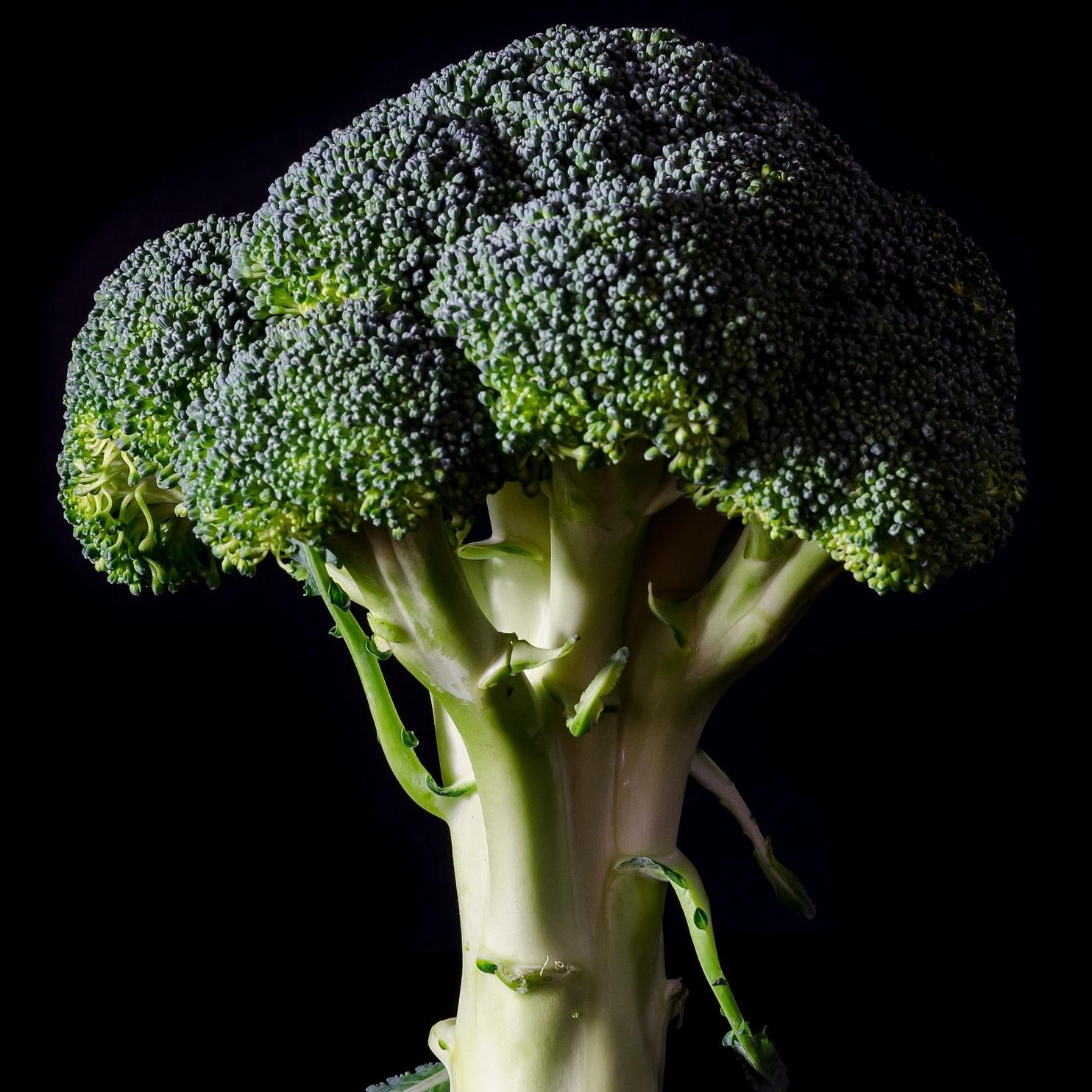A head of broccoli