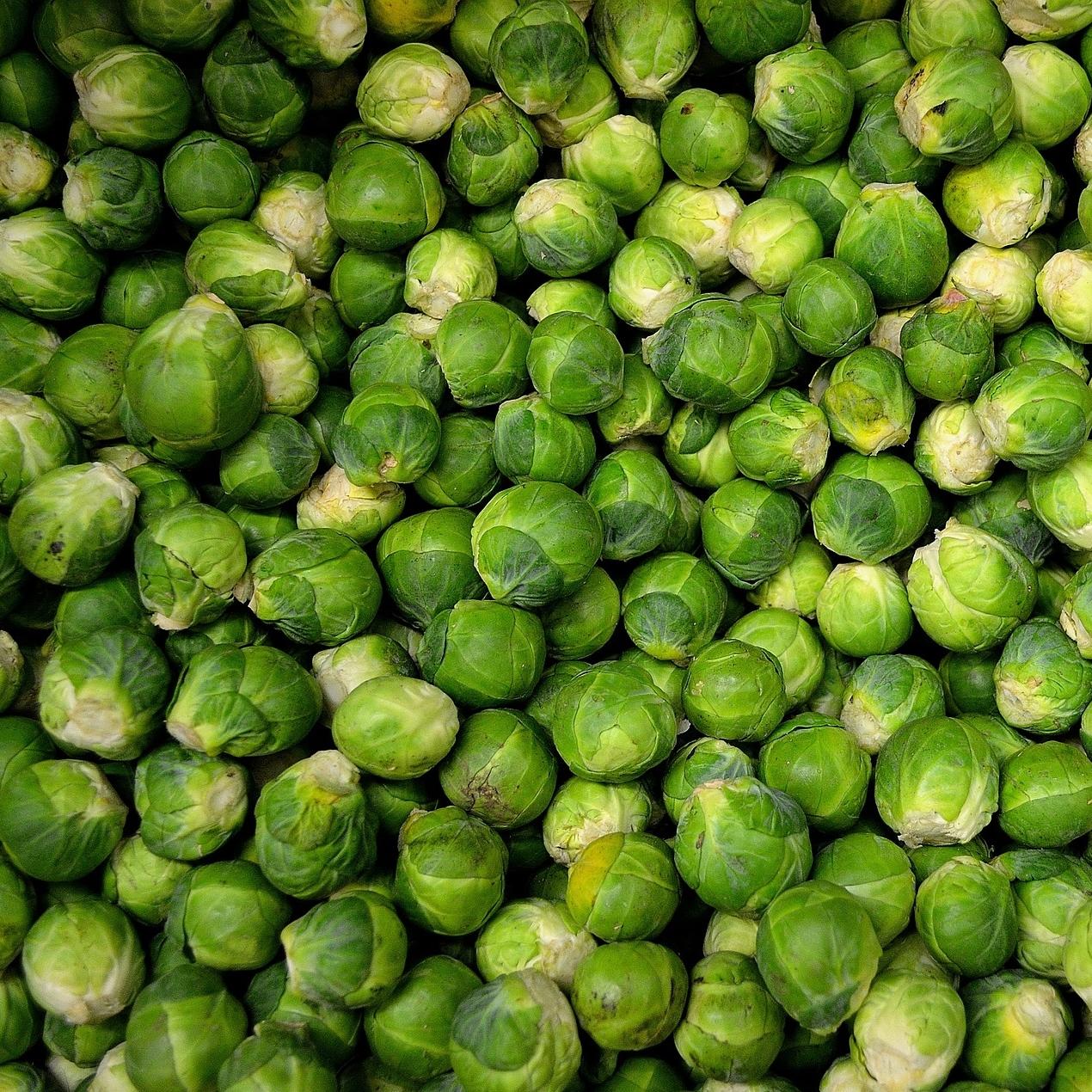 Close up of brussel sprouts