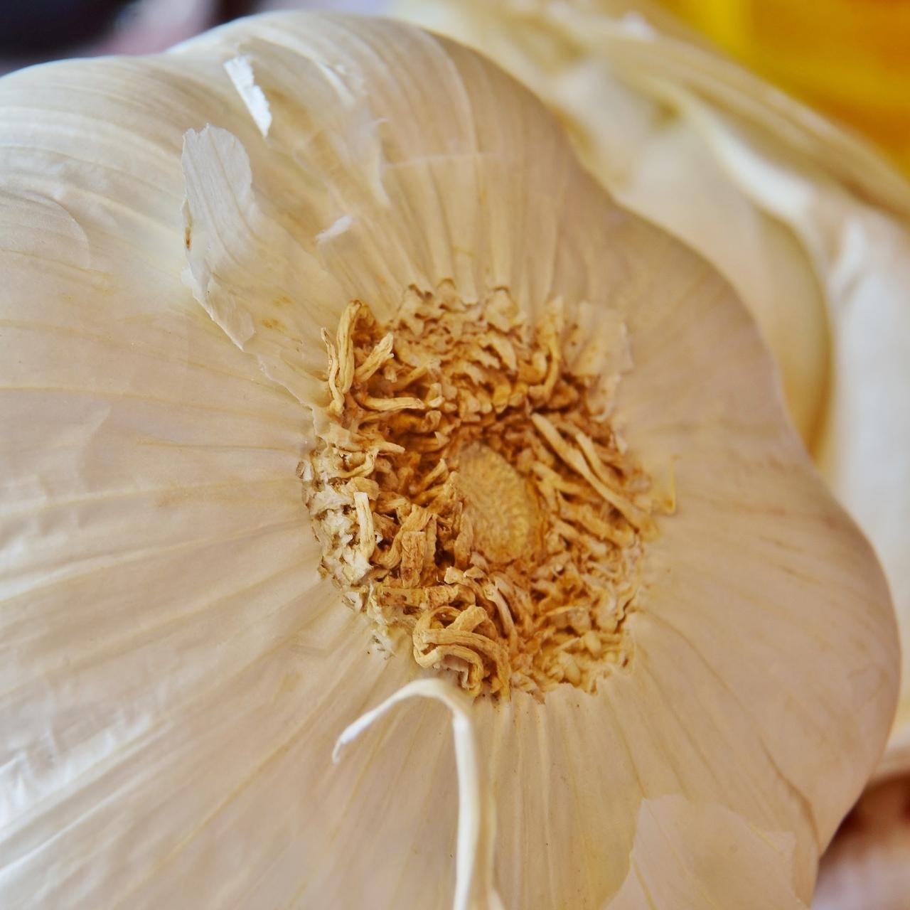 3 bulbs of garlic