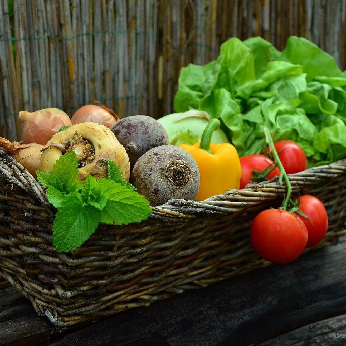 Basket of Vegetables