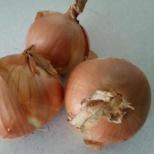 pack of three onions