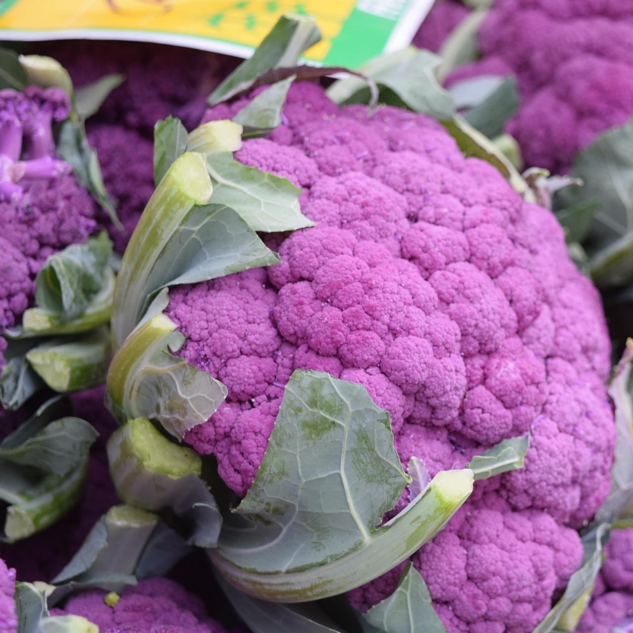 One Purple Cauliflower