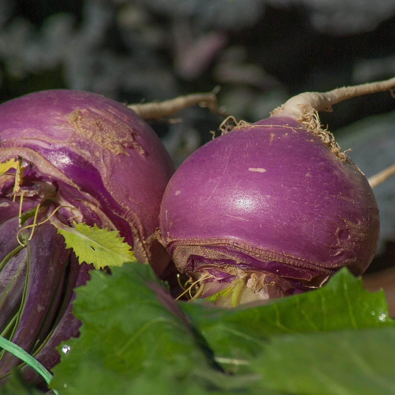 2 turnips