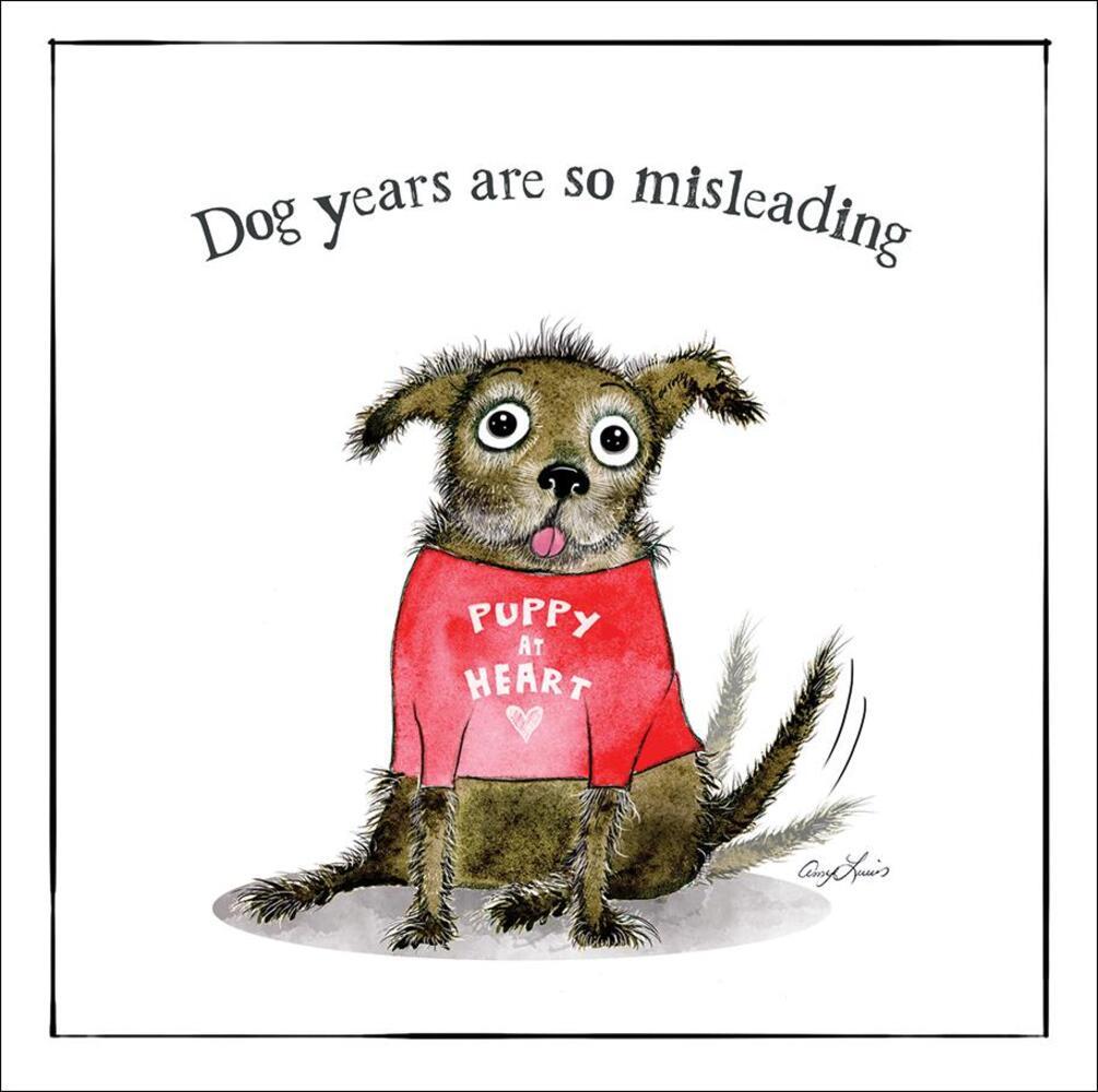 Dog Years are so Misleading