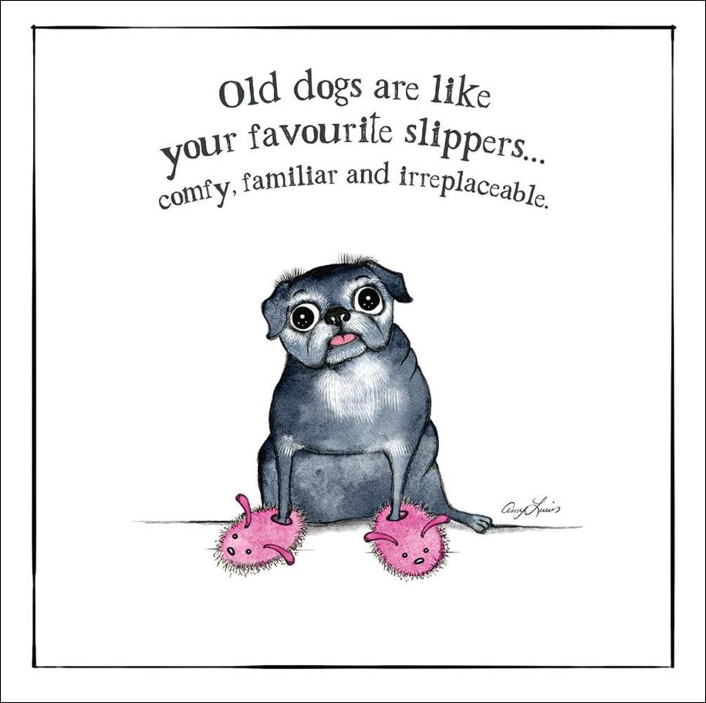 Old Dogs are Like