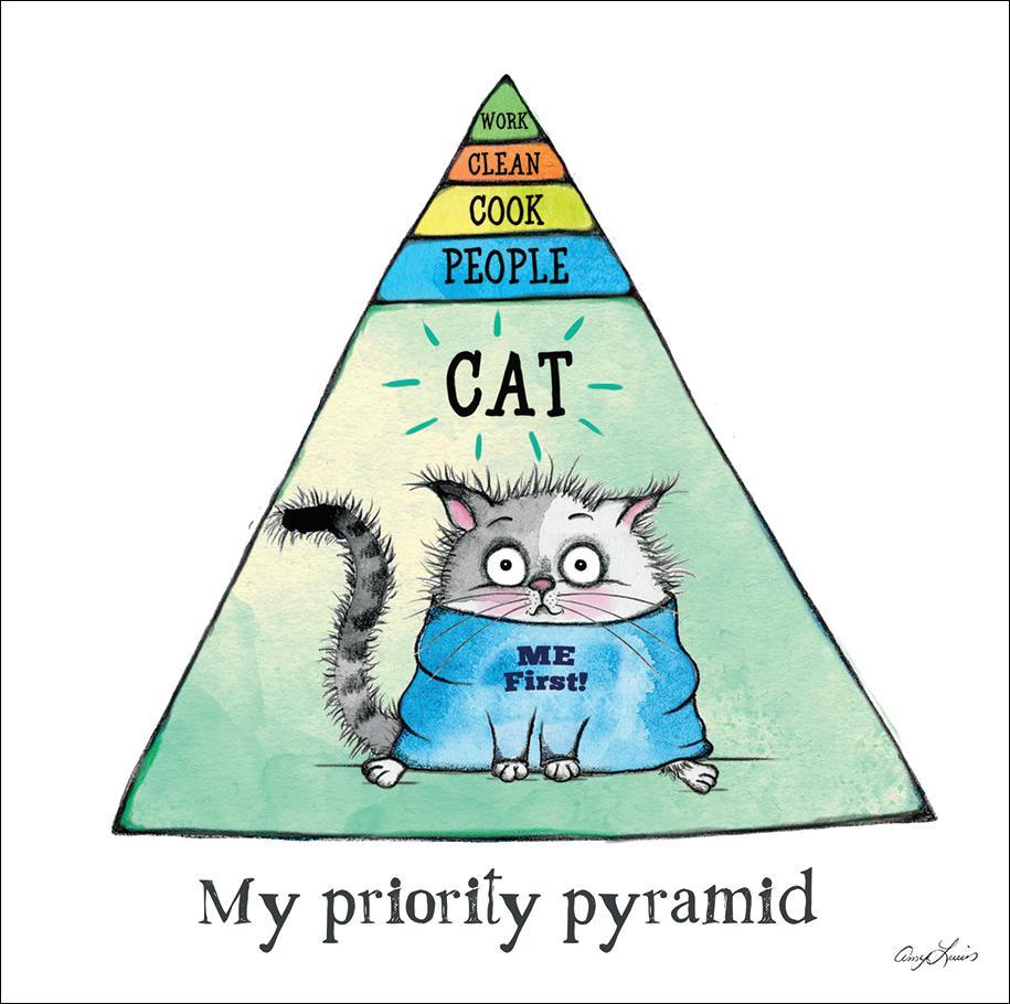 Cat Priority Pyramid