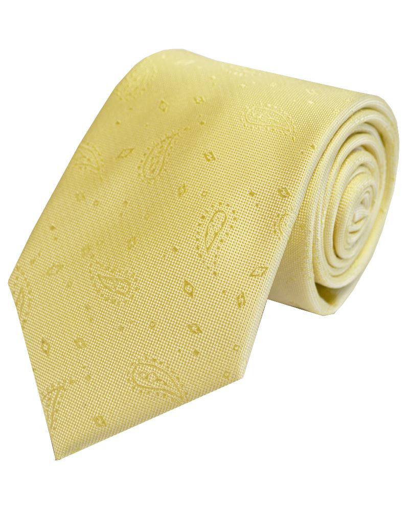 Paisley Poly Tie