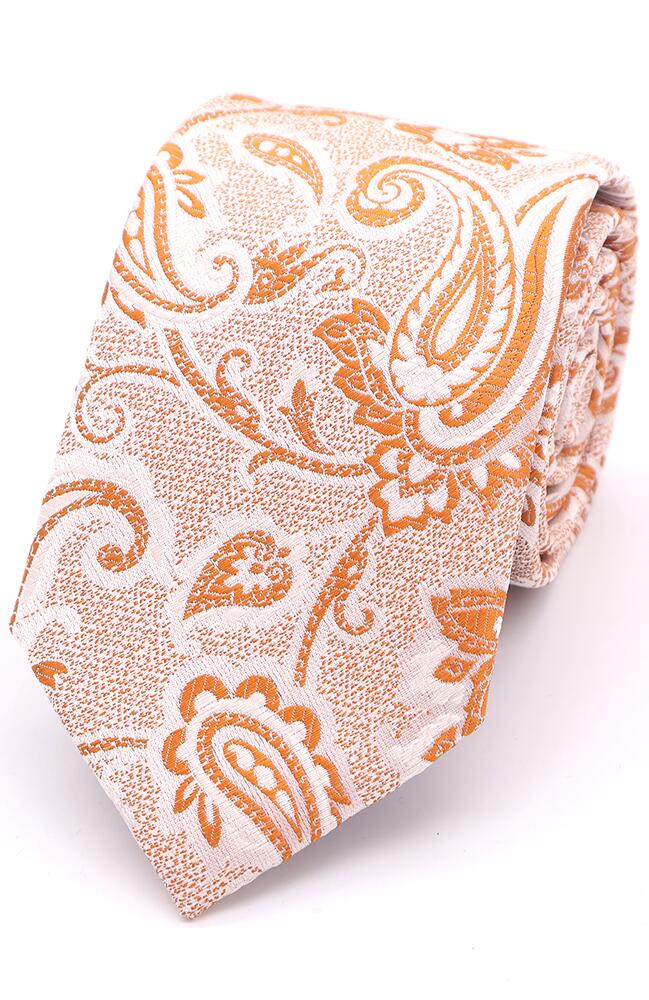 Mix-and-Match Large Paisley Tie