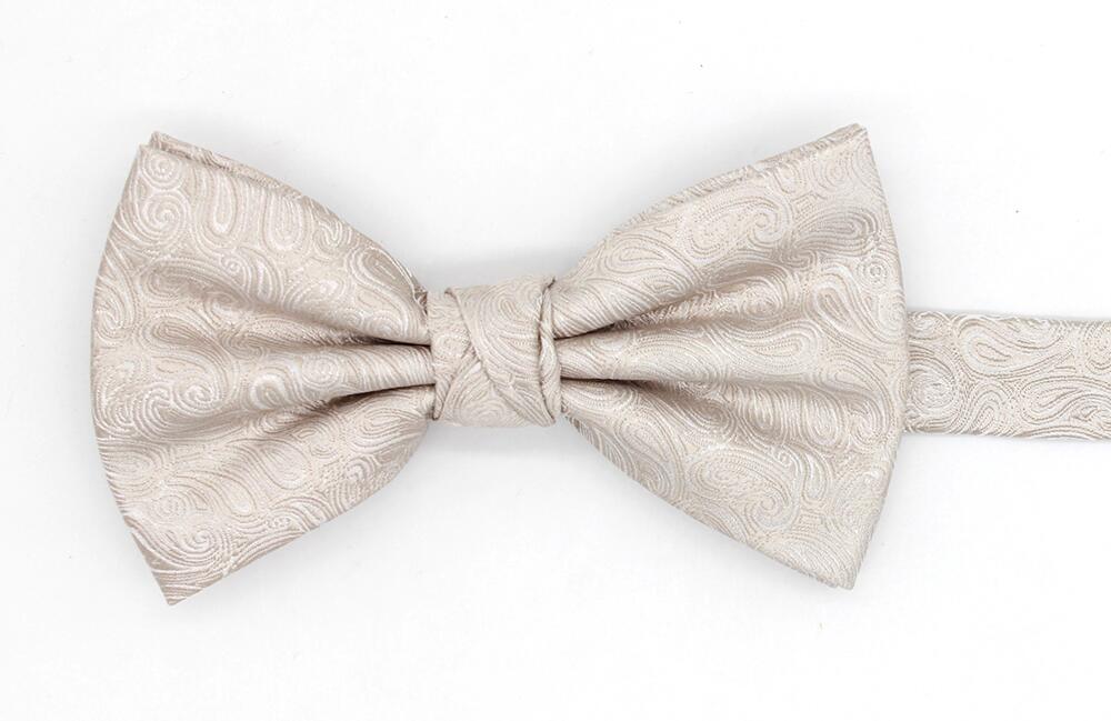 Mix-and-Match Wedding Paisley Bow Tie