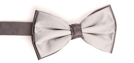 Double Wing Bow Tie