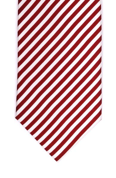 Printed Stripe Silk Tie