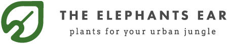 The Elephants Ear