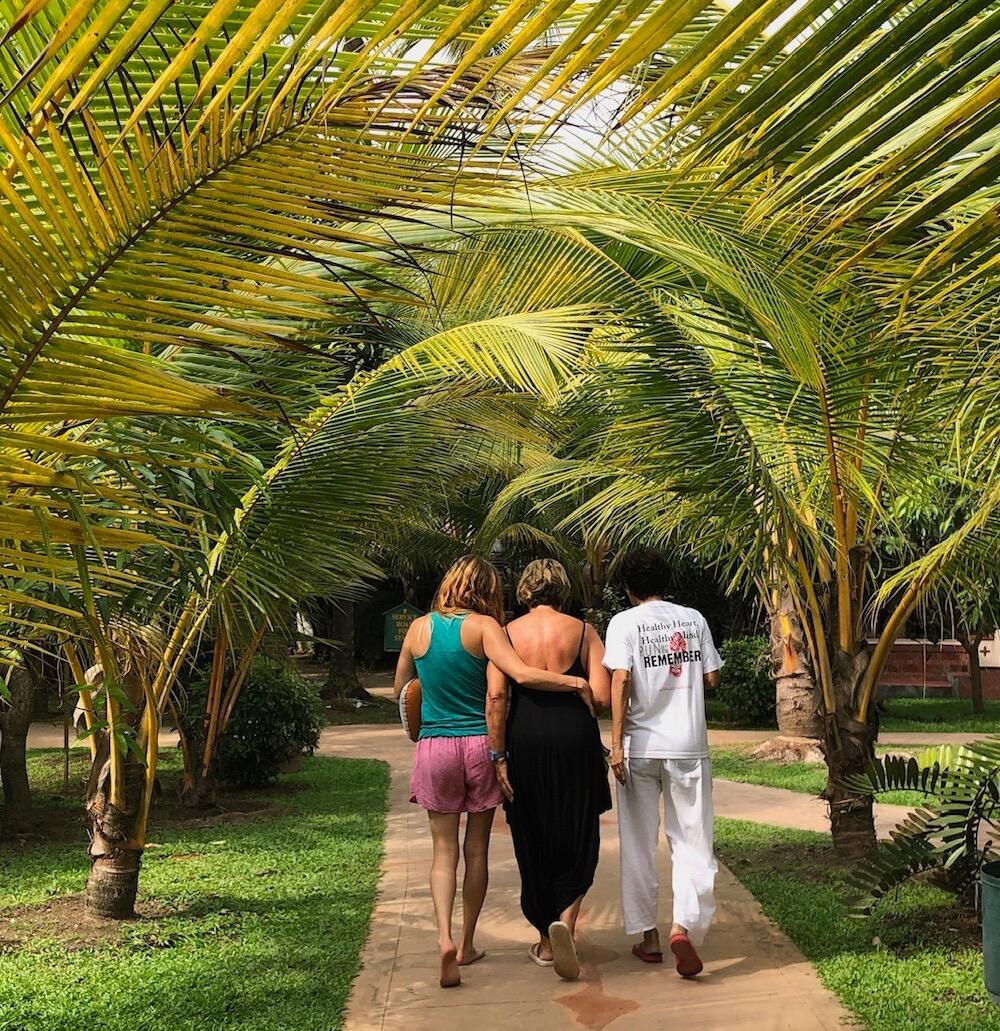 India yoga holiday resort palm trees