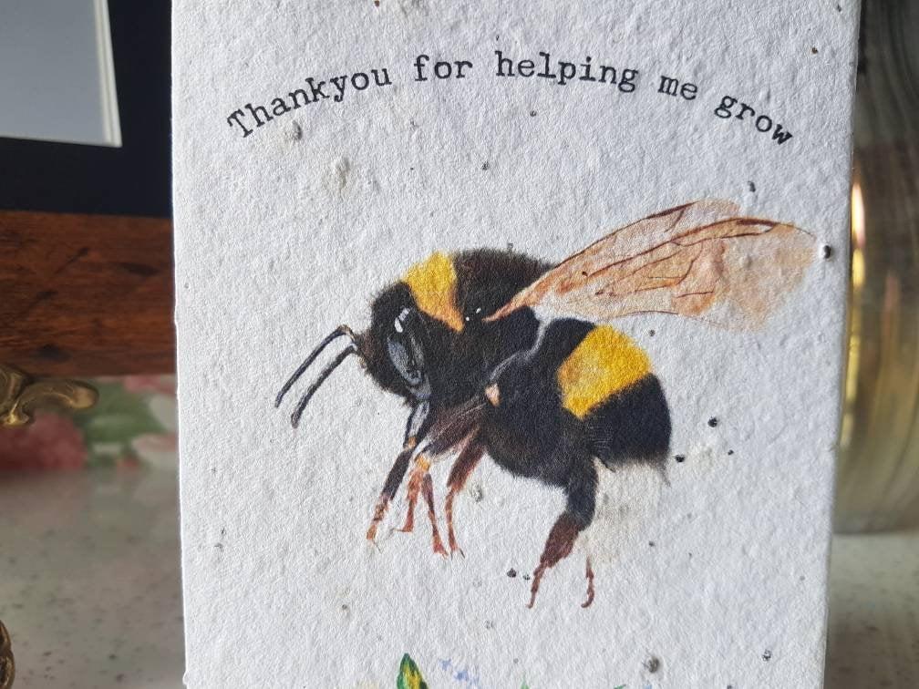 PLANTABLE Teacher Seed Cards- Bee Cards - Wildflower cards - Teacher thankyou cards -Thankyou for helping me grow