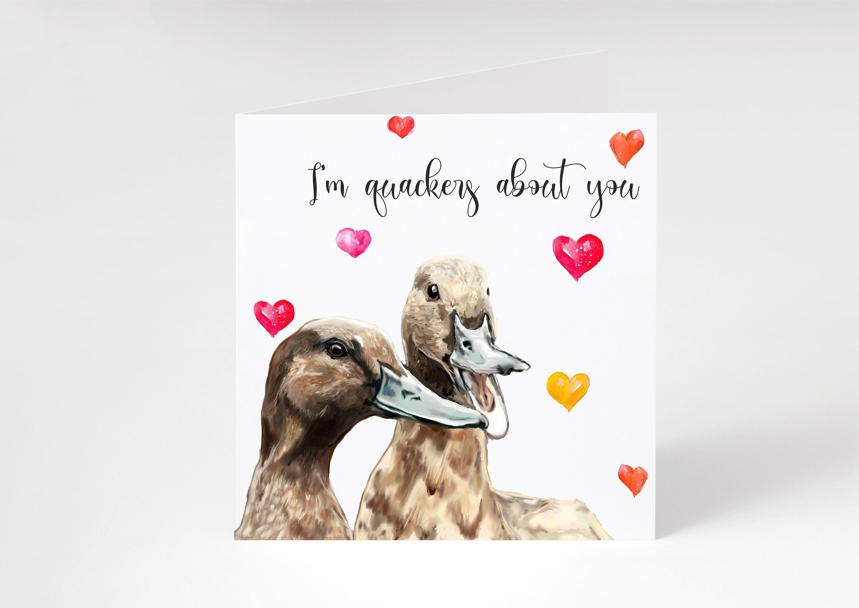 Im Quackers about you- Duck Valentine's card for him,her,themlove,Valentine's day,Feb 14th,open,friend,best friend,wife,husband,fiancee, dog