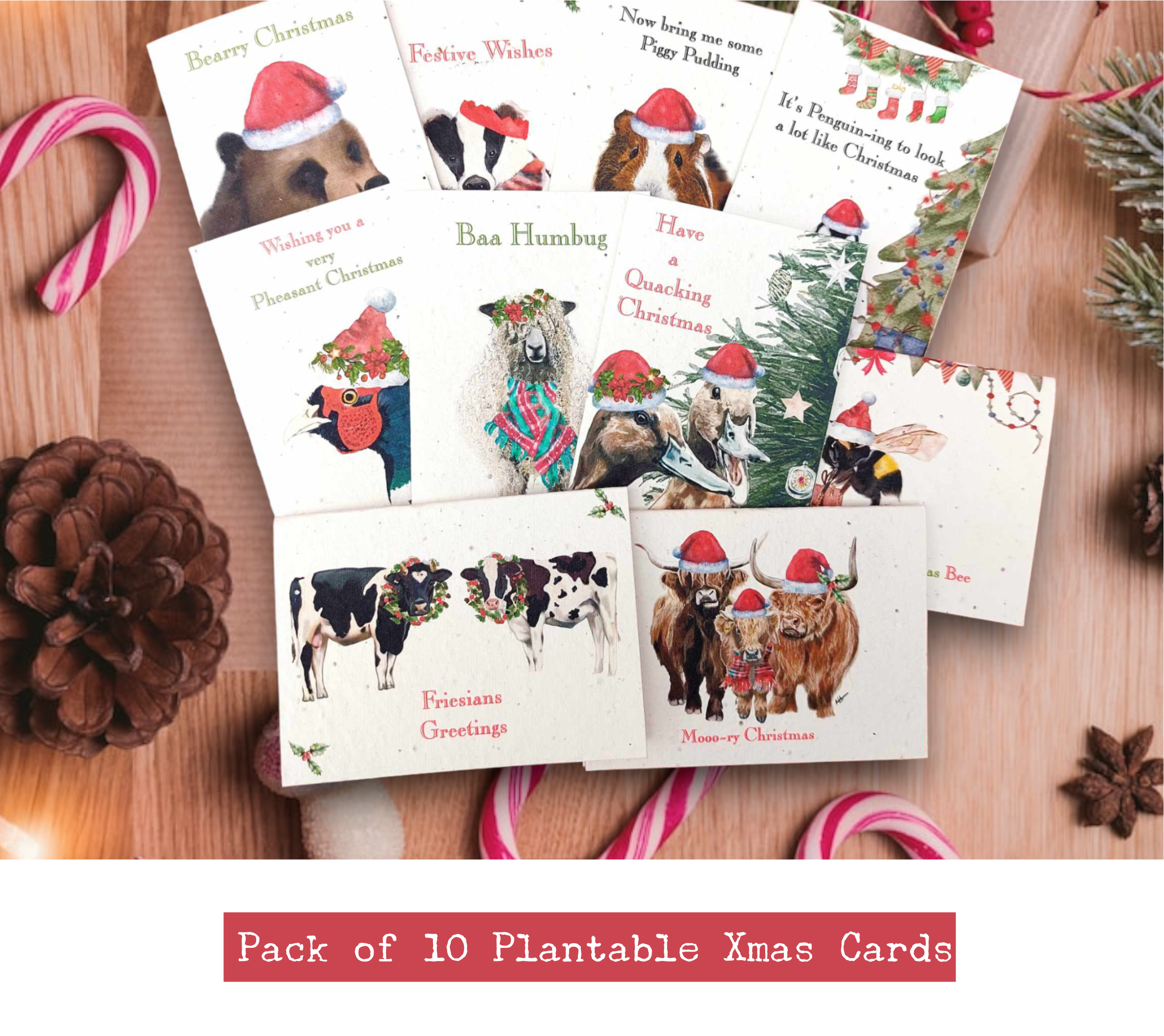 pack of 10 Plantable seed paper Christmas cards with seasonal coloured envelopes in a range of Cute animal designs