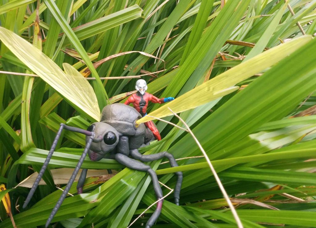 Marvel Universe 3.75 Ant-Man and Ant Action figures