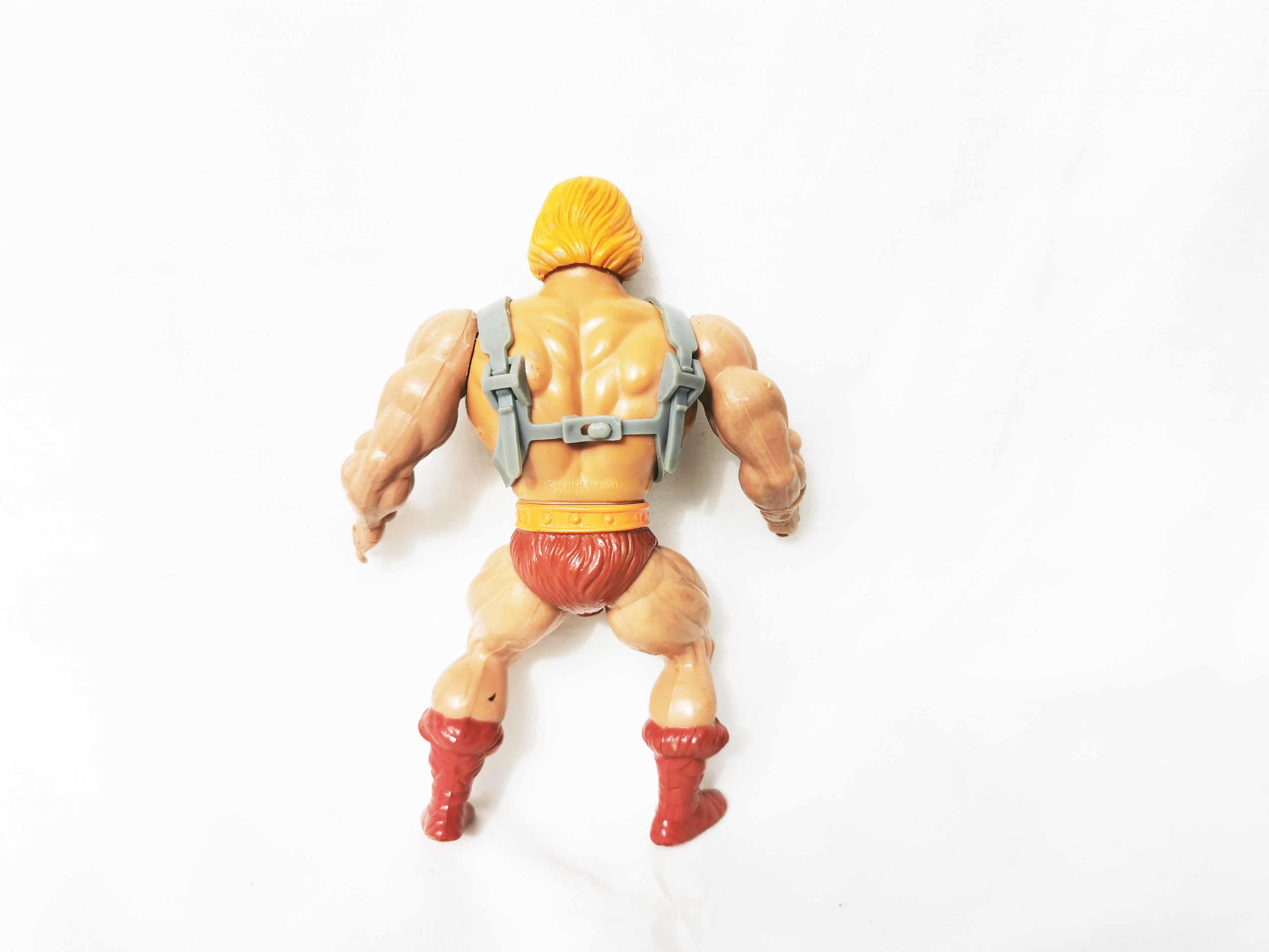 He-Man Masters of the Universe Action Figure MOTU