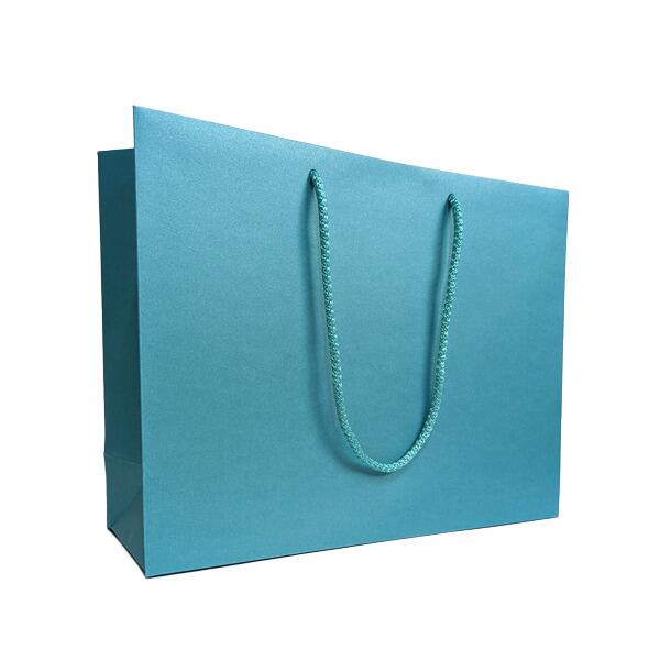 large turquoise landscape gift bag