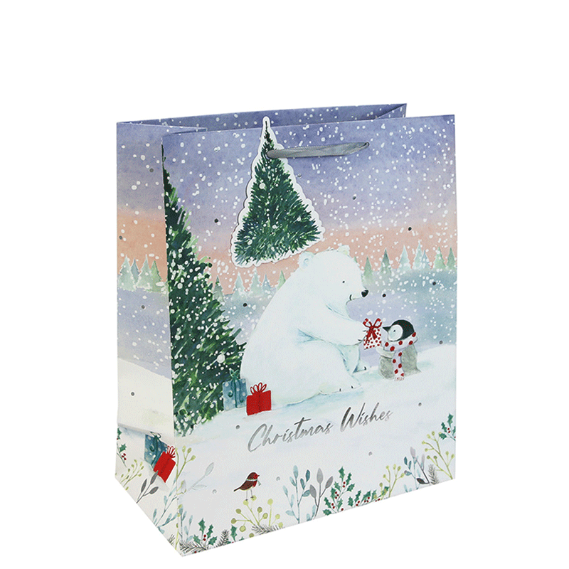 north pole gift bag
