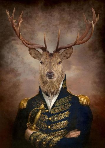 stag poster