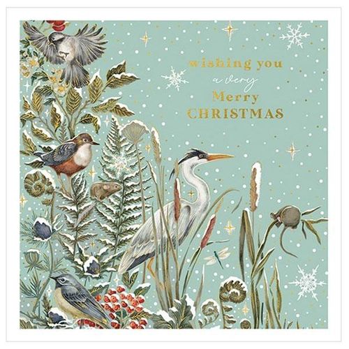 NATURE XMAS CARDS