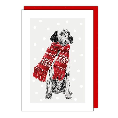 dalmation dog xmas card