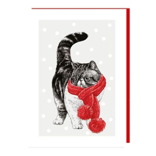 tabby cat xmas card