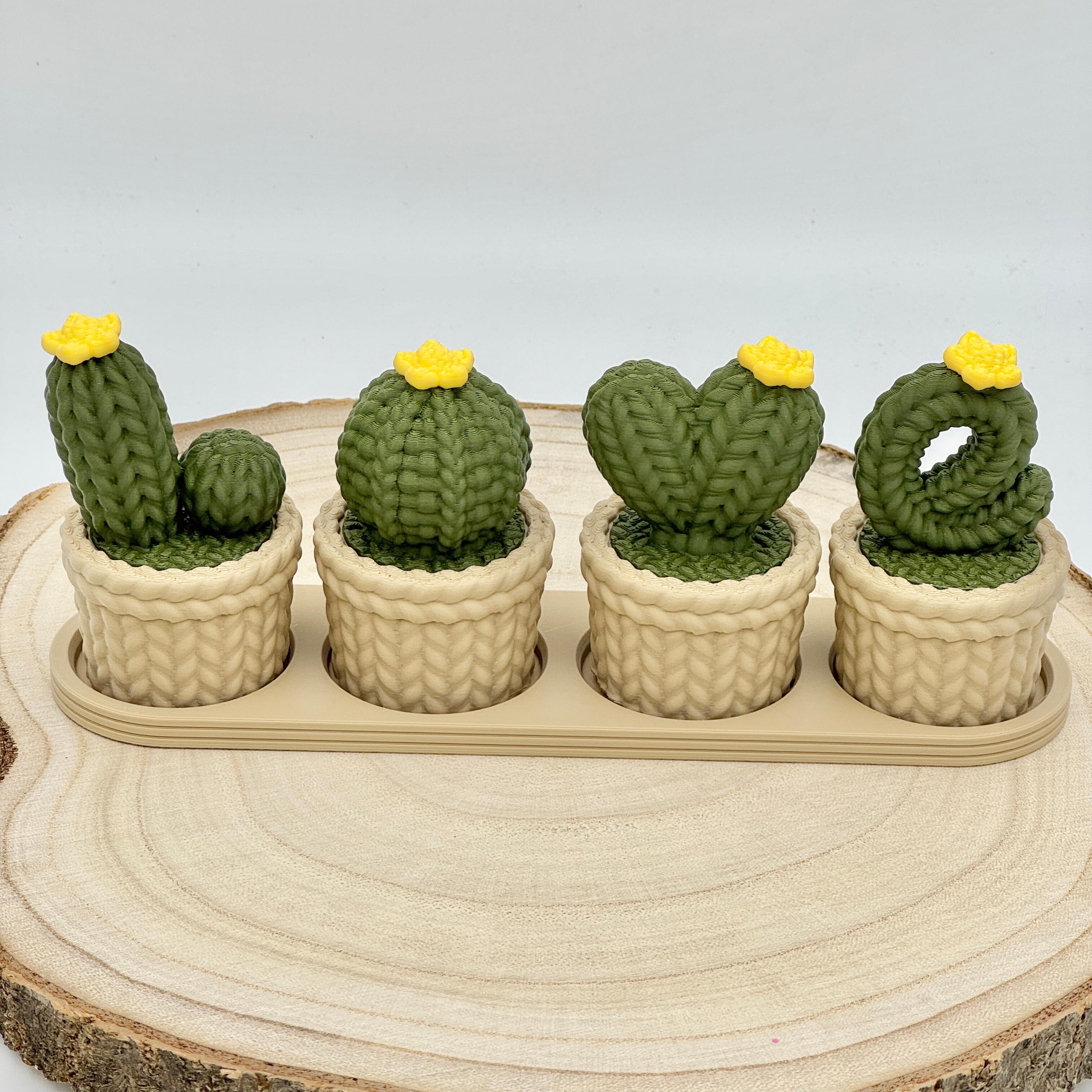 dark green love cacti with yellow flower